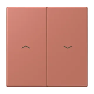 2-gang rocker for blind switch and blind push-button