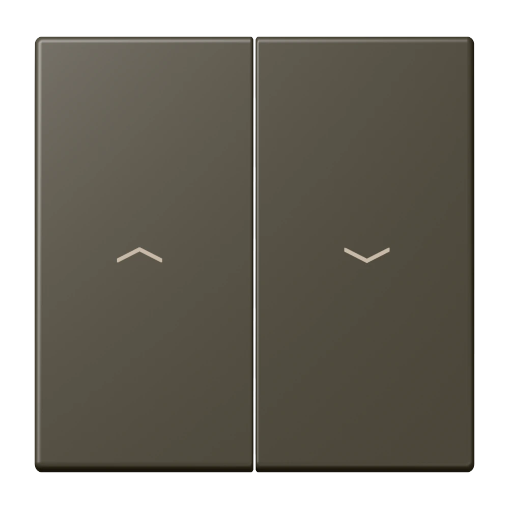2-gang rocker for blind switch and blind push-button — JUNG LS 990 Le Corbusier, le corbusier 241, art. LC995P241