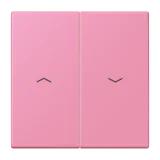 Rose Vif