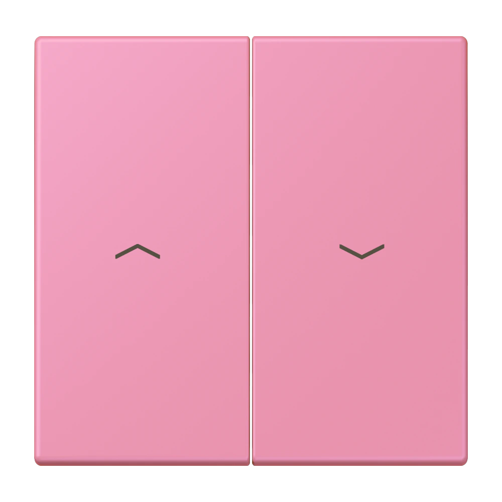 2-gang rocker for blind switch and blind push-button — JUNG LS 990 Le Corbusier, le corbusier 246, art. LC995P246