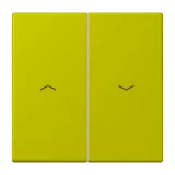 Vert Olive Vif