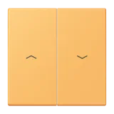 Ocre Jaune Clair