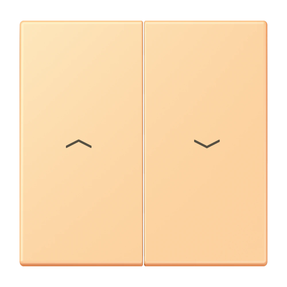 2-gang rocker for blind switch and blind push-button — JUNG LS 990 Le Corbusier, le corbusier 258, art. LC995P258