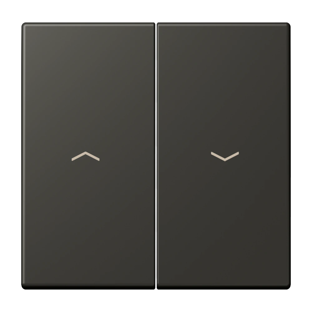 2-gang rocker for blind switch and blind push-button — JUNG LS 990 Le Corbusier, le corbusier 259, art. LC995P259