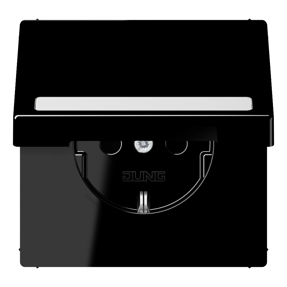 SCHUKO® socket with hinged lid and inscription field — JUNG LS 990, black, art. LS1520BFNAKLSW