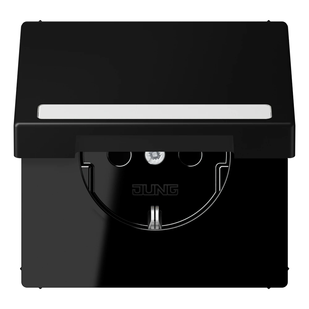 SCHUKO®-розетка с откидной крышкой и полем для записи — JUNG LS 990, Matt Black, арт. LS1520BFNAKLSWM