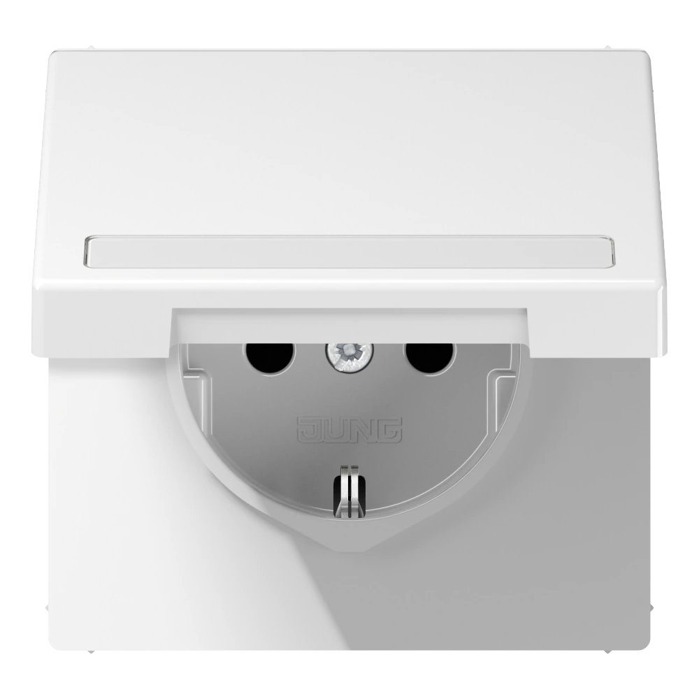 SCHUKO®-розетка с откидной крышкой и полем для записи — JUNG LS 990, Белый, арт. LS1520BFNAKLWW