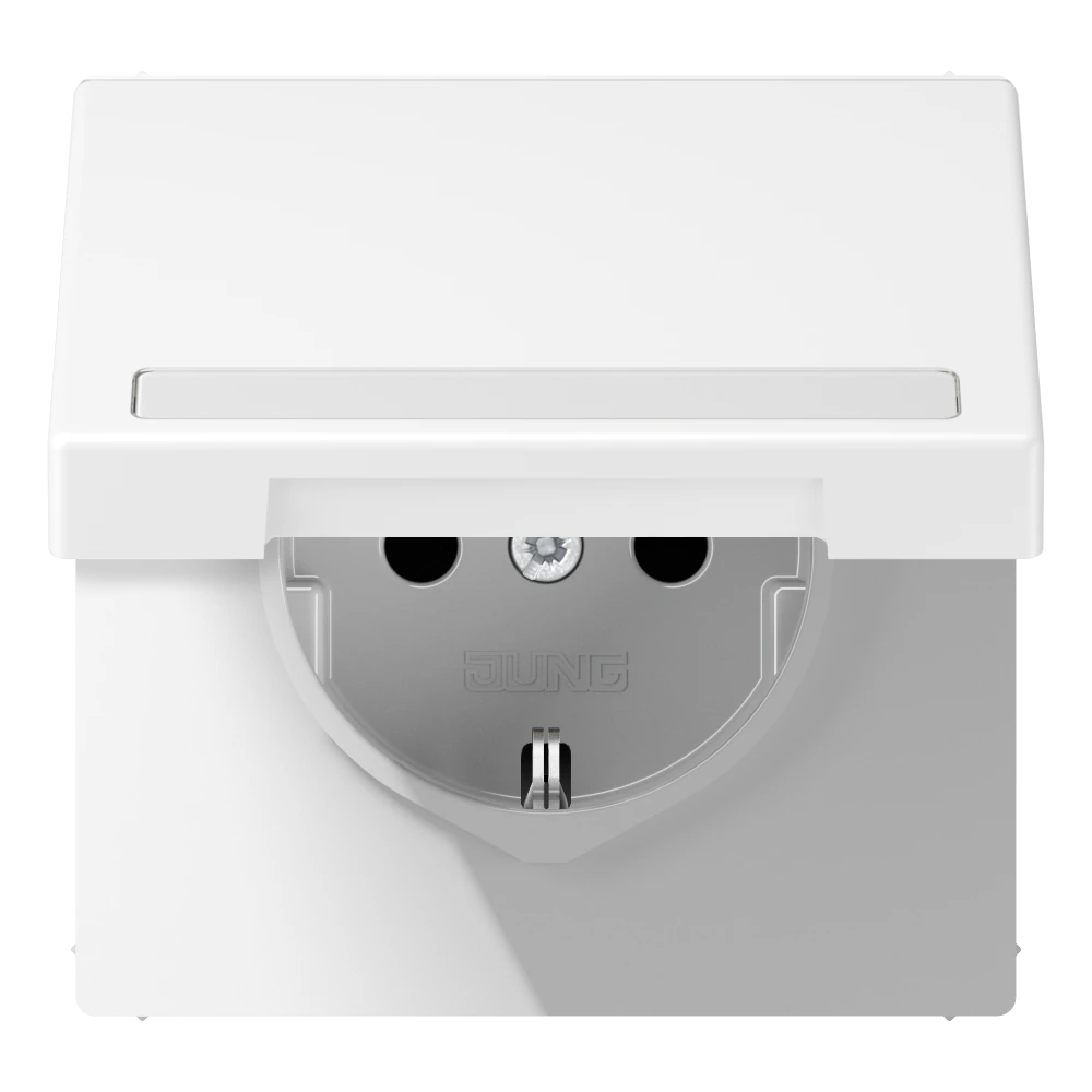 SCHUKO®-розетка с откидной крышкой и полем для записи — JUNG LS 990, Matt White, арт. LS1520BFNAKLWWM