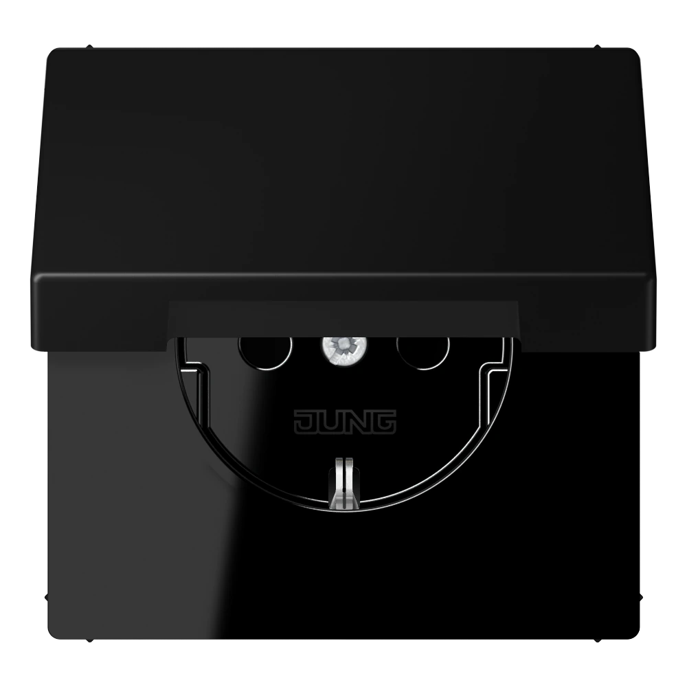 SCHUKO® socket with hinged lid and contact protection SCHUKO®-розетка с откидной — JUNG LS 990, Matt Black, арт. LS1521KIKLSWM