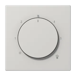 Centre plate for thermostat