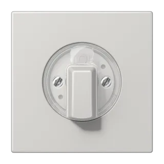 Centre plate with knob for rotary switch