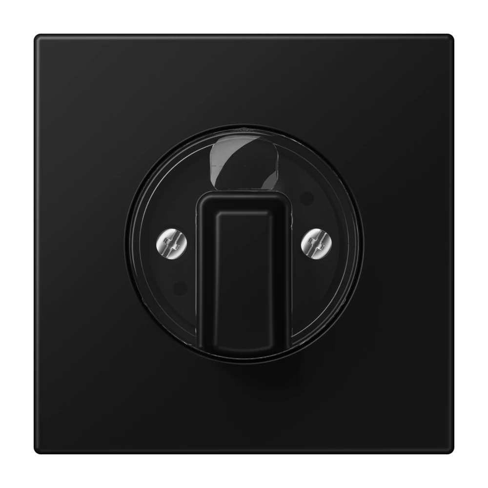 Крышка для поворотного выключателя — JUNG LS 990, Matt Black, арт. LS1941SWM