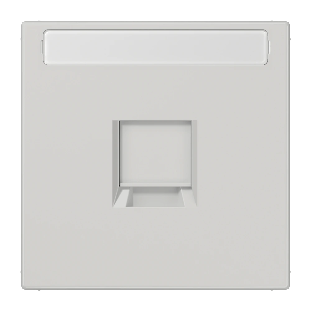 Centre plate for modular jack sockets — JUNG LS 990, light grey, art. LS1969-1NAWELG