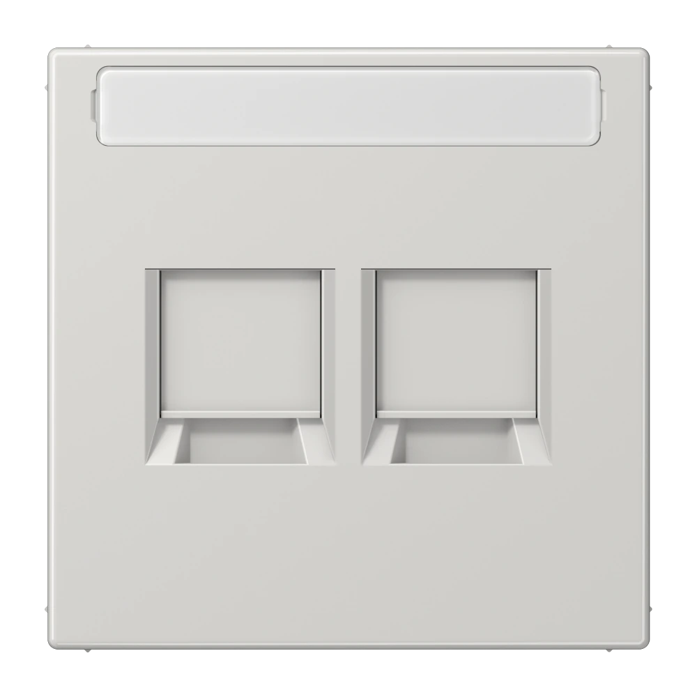 Centre plate for modular jack sockets — JUNG LS 990, light grey, art. LS1969-2NAWELG