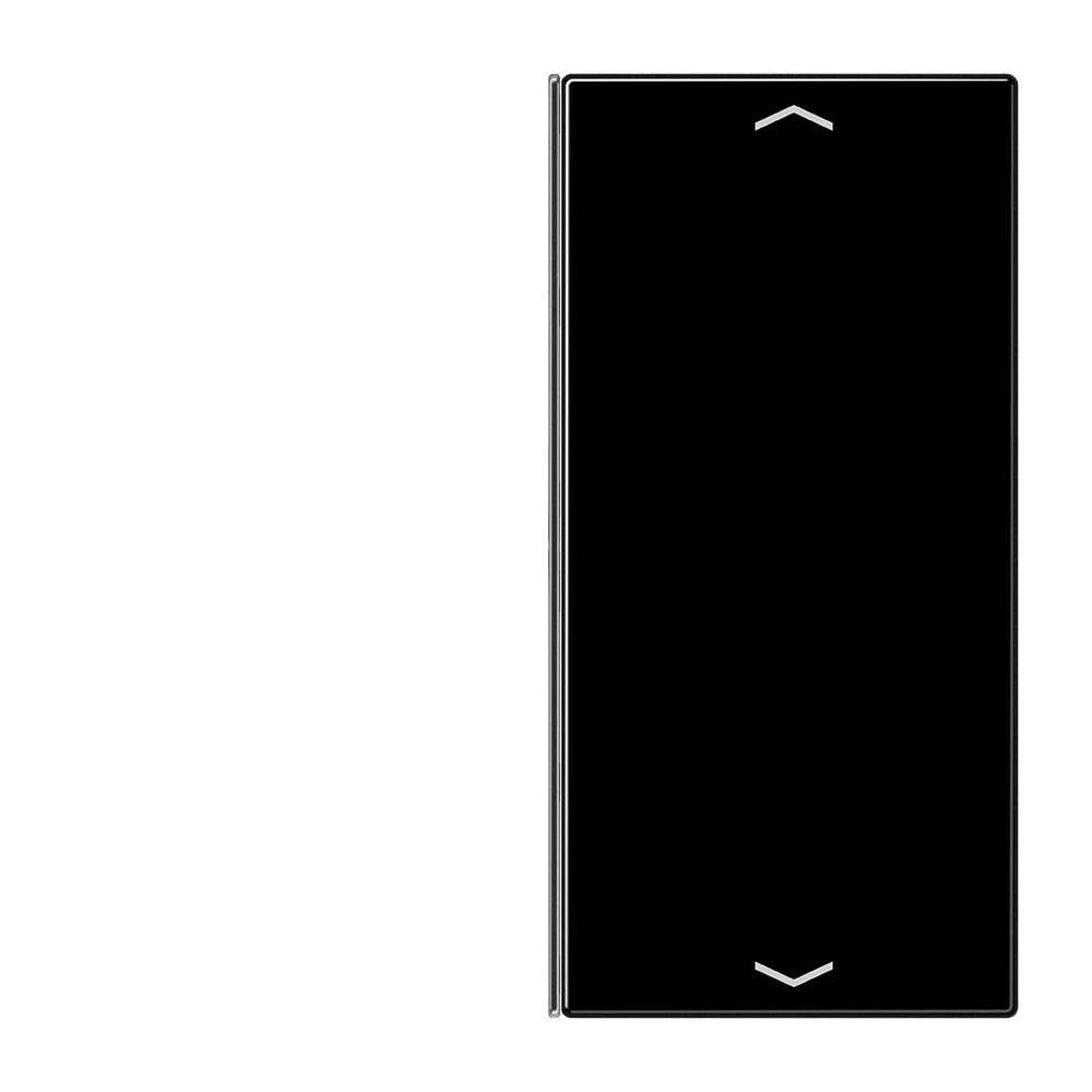 Cover 2-gang with symbols — JUNG LS 990, black, art. LS402TSAPSW