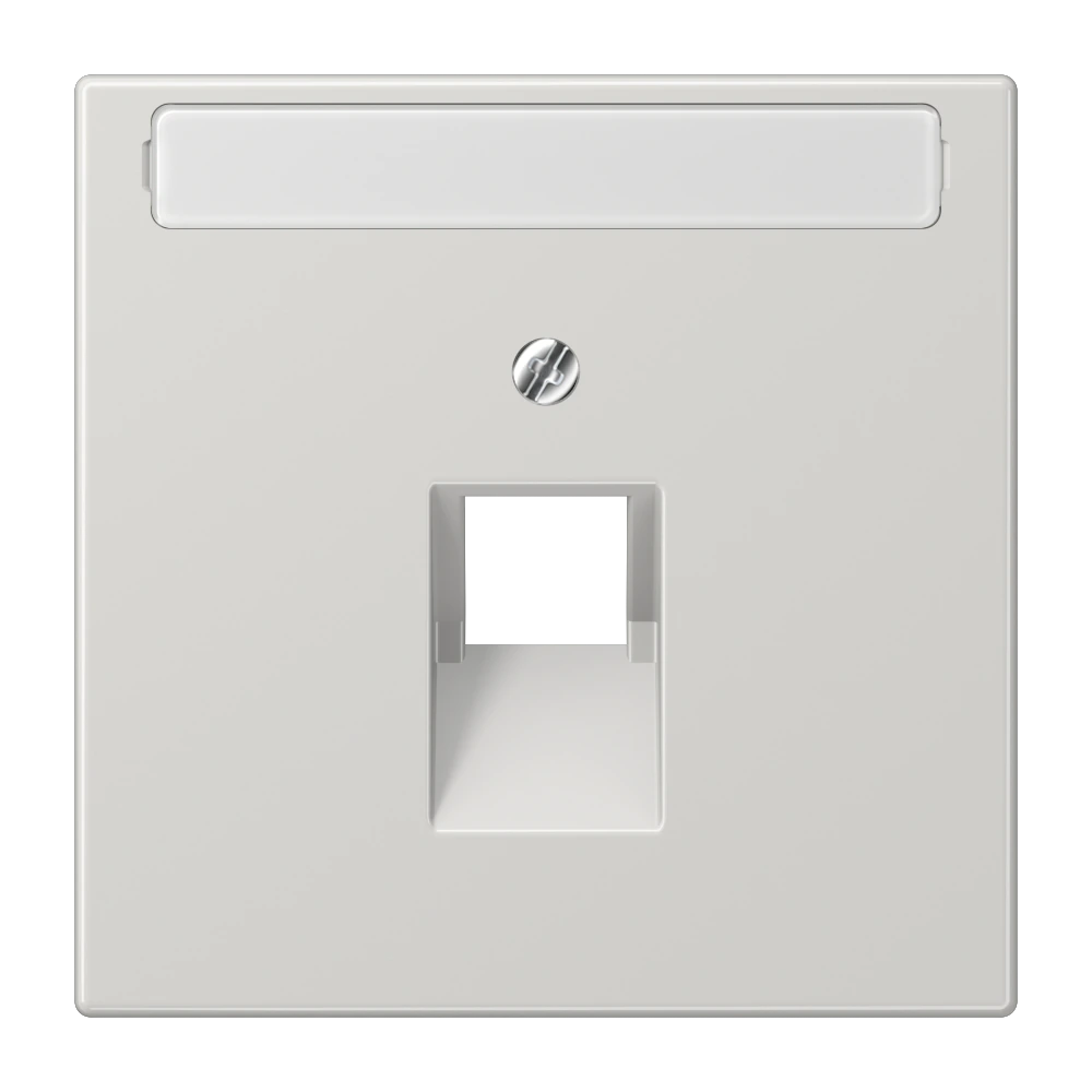 Centre plate with inscription field for 1-gang modular jack socket (8-pole) — JUNG LS 990, light grey, art. LS969-1NAUALG