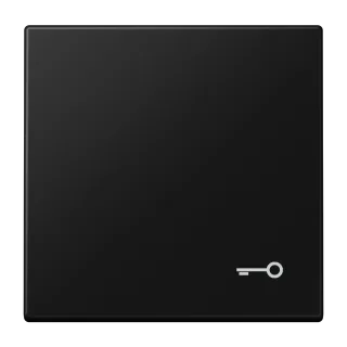 JUNG LS 990, матовый графит, арт. LS990TSWM