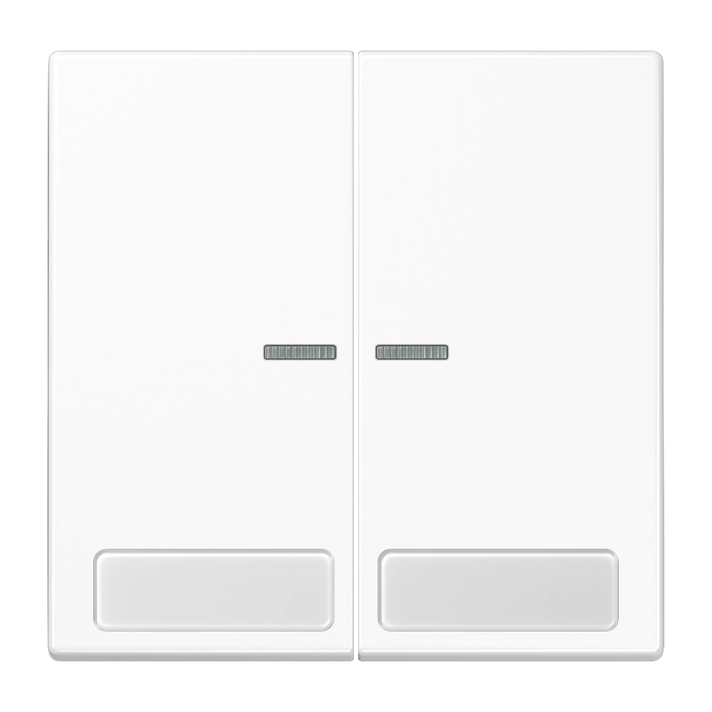 2-gang rocker for switch and push-button, with lens — JUNG LS 990, white, art. LS995NAKO5WW