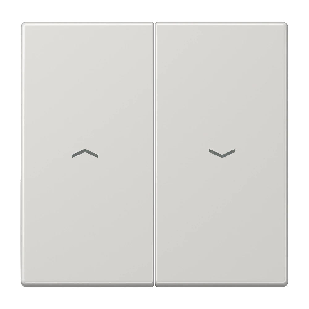 2-gang rocker for blind switch and blind push-button — JUNG LS 990, light grey, art. LS995PLG