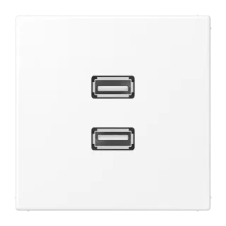 2 x USB 2.0, термопласт лак., серия LS, матовый белый