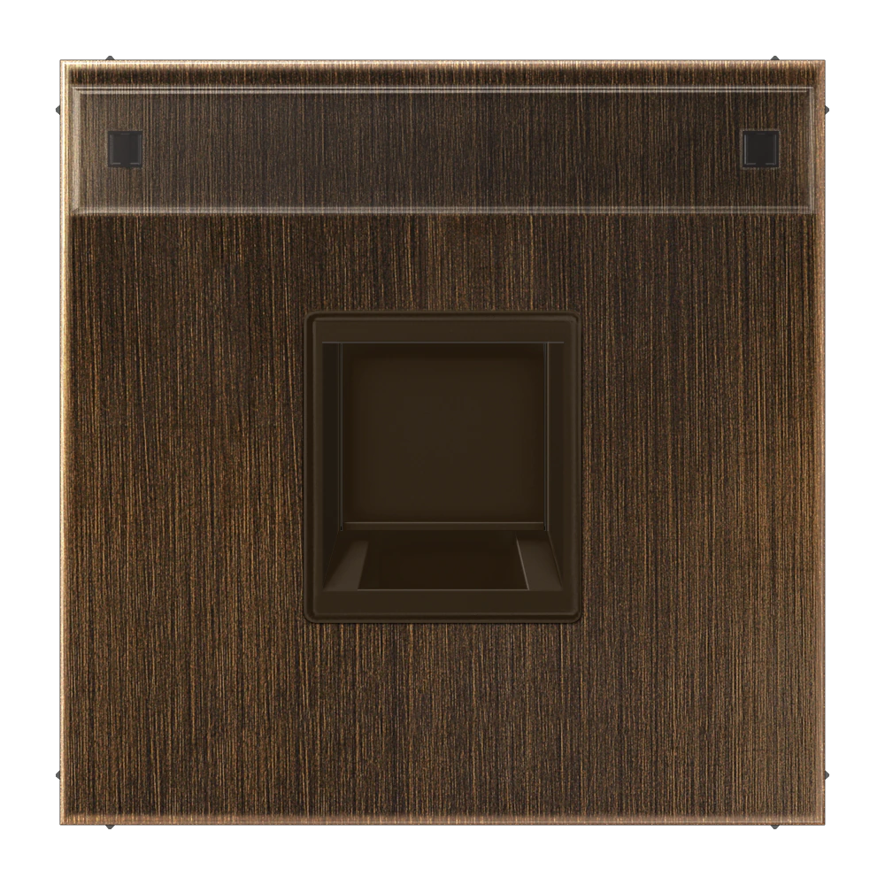 Centre plate for modular jack sockets — JUNG LS 990, antique brass, art. ME1969-15NAWEAT