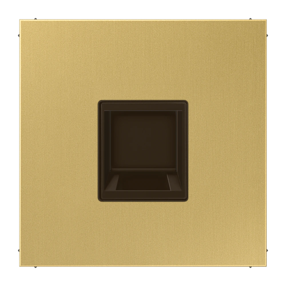 Centre plate for modular jack sockets — JUNG LS 990, classic brass, art. ME1969-15WEC