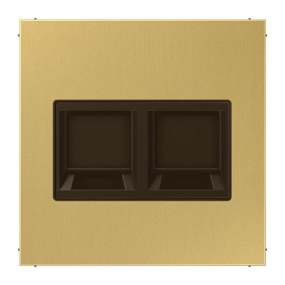 Centre plate for modular jack sockets — JUNG LS 990, classic brass, art. ME1969-2WEC