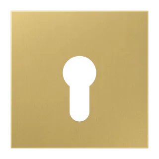 JUNG LS 990, classic brass, art. ME2925C