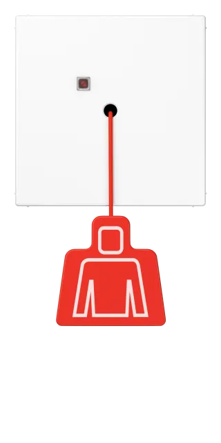 Pull cord push-button