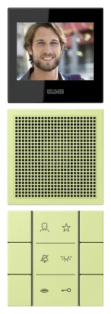 Vert Jaune Clair