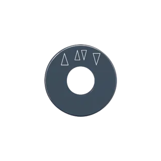 Scale disc